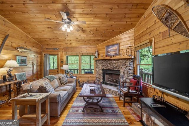 203 Mountain View Drive, Cherry Log, GA 30522