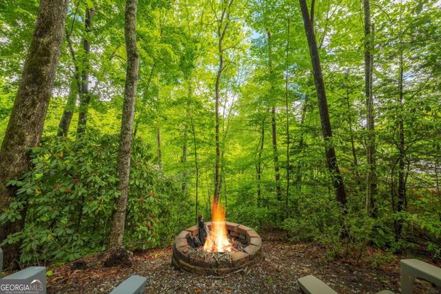203 Mountain View Drive, Cherry Log, GA 30522