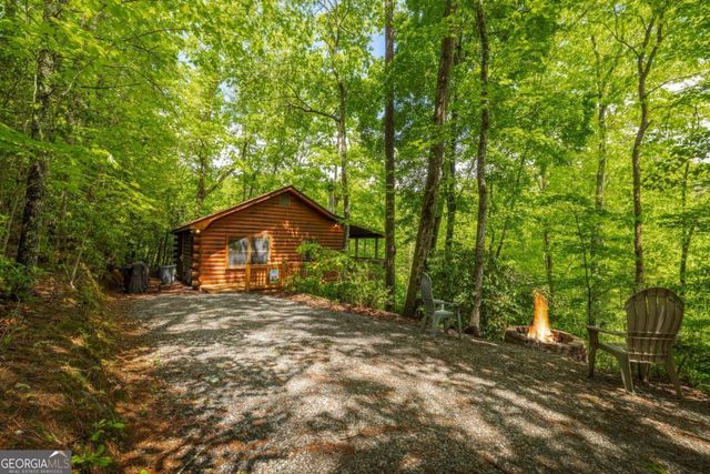 203 Mountain View Drive, Cherry Log, GA 30522