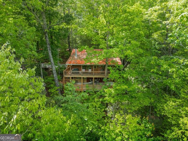 203 Mountain View Drive, Cherry Log, GA 30522