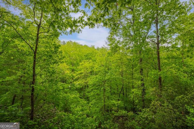 203 Mountain View Drive, Cherry Log, GA 30522