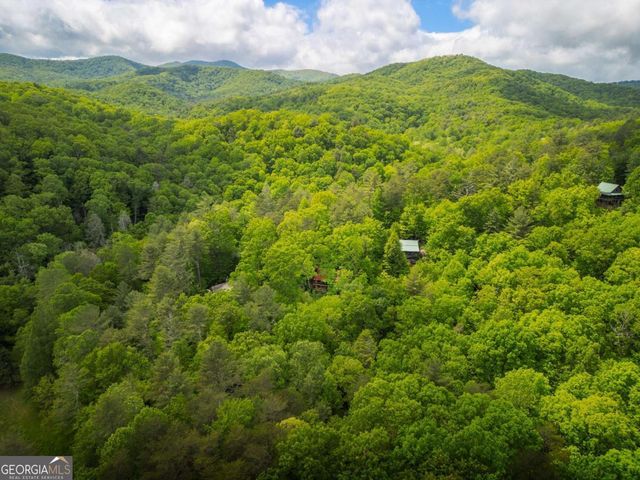 203 Mountain View Drive, Cherry Log, GA 30522