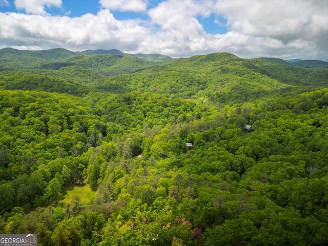 203 Mountain View Drive, Cherry Log, GA 30522