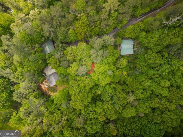 203 Mountain View Drive, Cherry Log, GA 30522