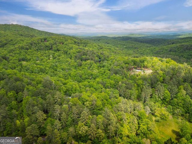 203 Mountain View Drive, Cherry Log, GA 30522
