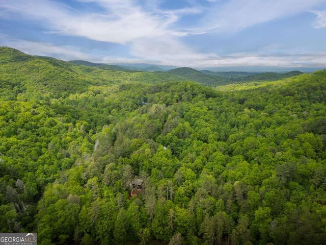203 Mountain View Drive, Cherry Log, GA 30522