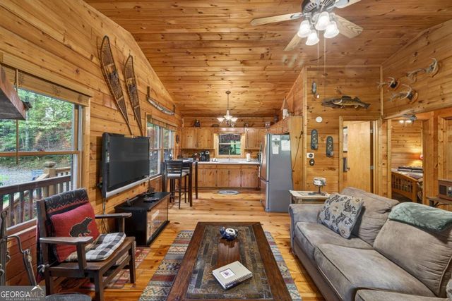 203 Mountain View Drive, Cherry Log, GA 30522