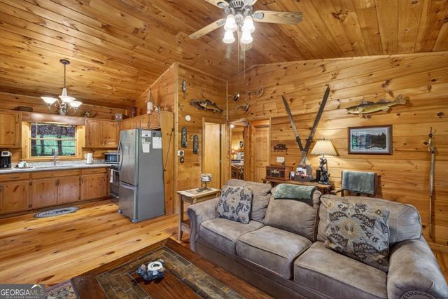 203 Mountain View Drive, Cherry Log, GA 30522
