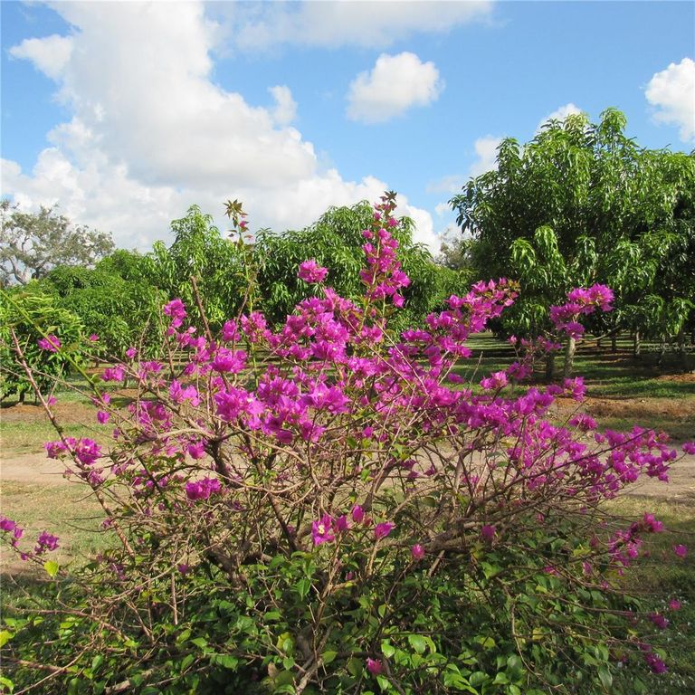 Image 38 of property listing at 21552 E STATE ROAD 64, Bradenton, FL 34212