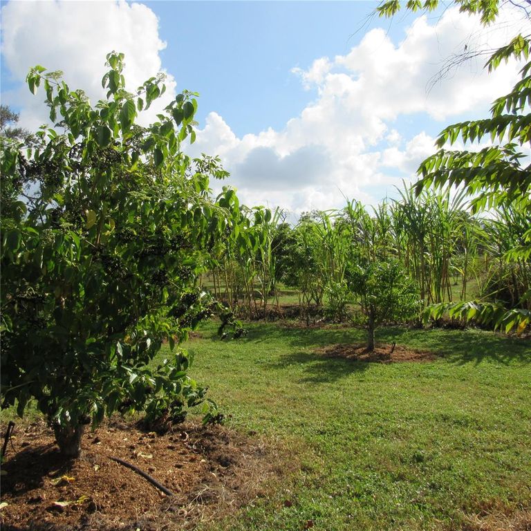 Image 40 of property listing at 21552 E STATE ROAD 64, Bradenton, FL 34212