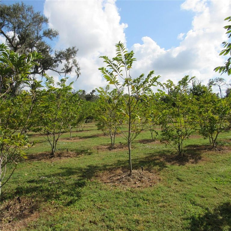 Image 61 of property listing at 21552 E STATE ROAD 64, Bradenton, FL 34212