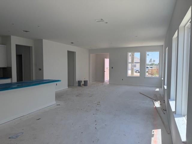 110 Mathew ST, Bertram, TX 78605