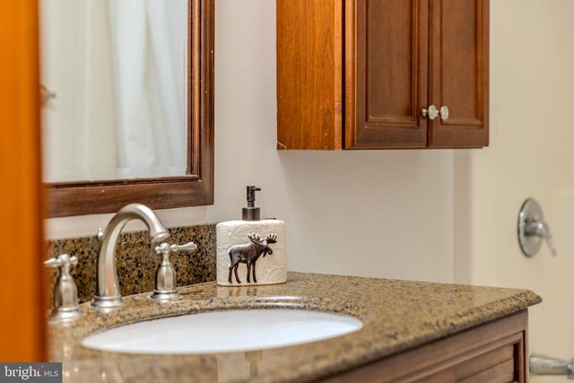 220 WOODLANDS HILL LN, Oakland, MD 21550