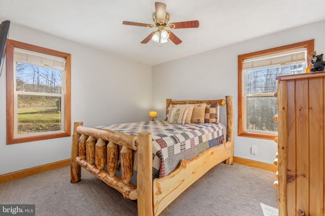 220 WOODLANDS HILL LN, Oakland, MD 21550