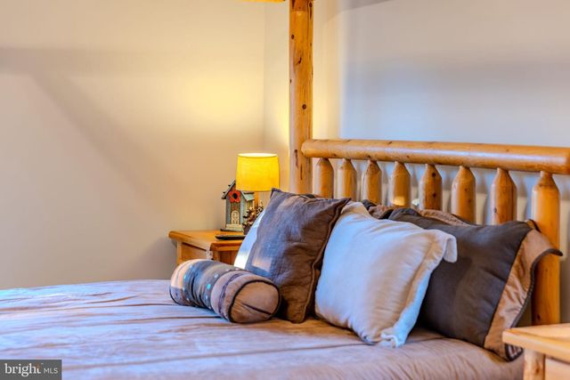 220 WOODLANDS HILL LN, Oakland, MD 21550