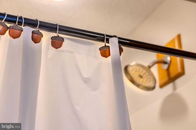 220 WOODLANDS HILL LN, Oakland, MD 21550