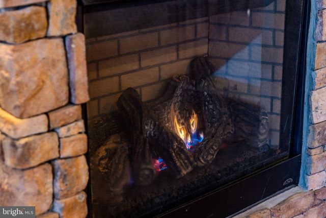 220 WOODLANDS HILL LN, Oakland, MD 21550