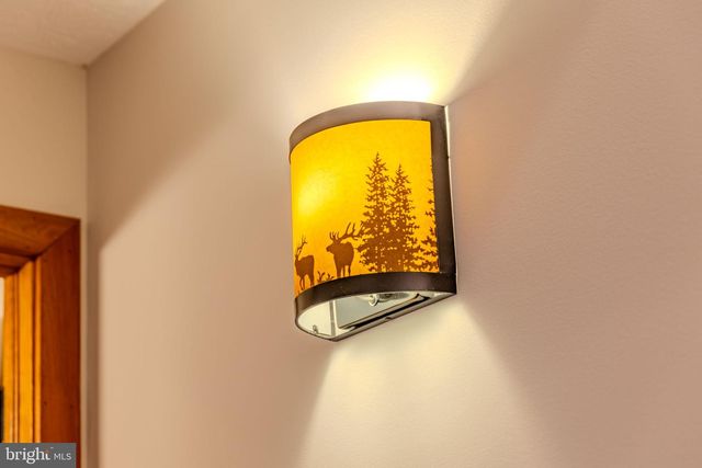 220 WOODLANDS HILL LN, Oakland, MD 21550