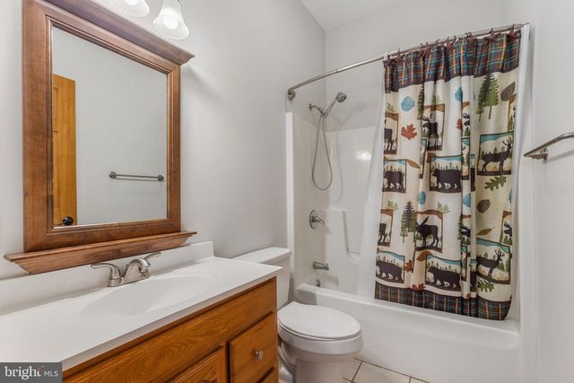 220 WOODLANDS HILL LN, Oakland, MD 21550