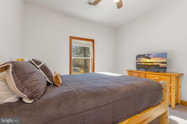 220 WOODLANDS HILL LN, Oakland, MD 21550