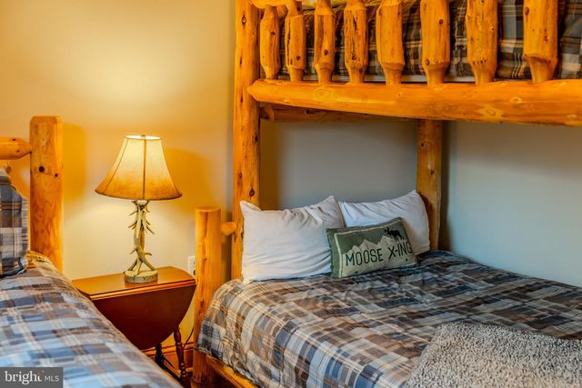 220 WOODLANDS HILL LN, Oakland, MD 21550