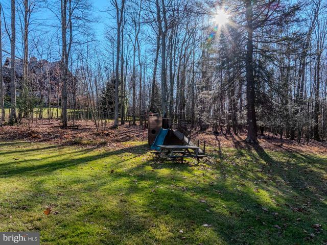 220 WOODLANDS HILL LN, Oakland, MD 21550