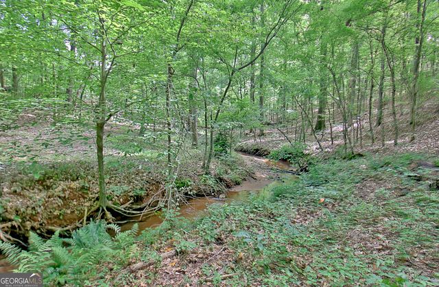 460 Morgan Mill Road, Brooks, GA 30205