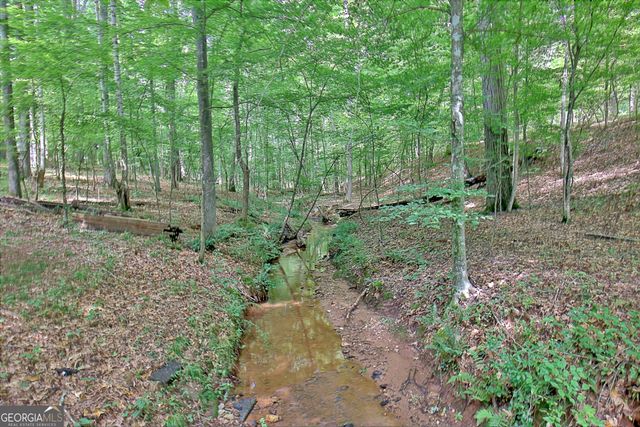 460 Morgan Mill Road, Brooks, GA 30205