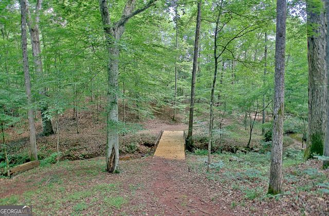 460 Morgan Mill Road, Brooks, GA 30205