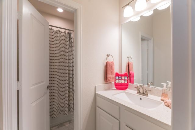 25206 Driftwood Harbor Lane, Tomball, TX 77375