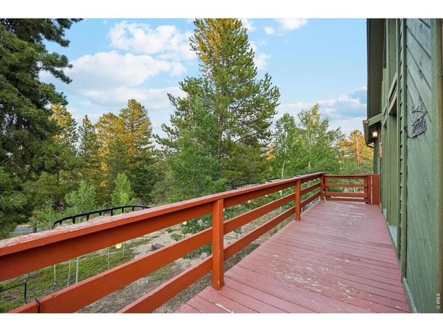 76 Highlands Dr, Bailey, CO 80421