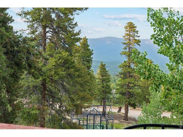 76 Highlands Dr, Bailey, CO 80421