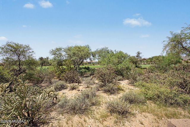5114 W Desert Chicory Place, Marana, AZ 85658