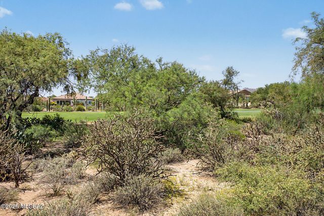 5114 W Desert Chicory Place, Marana, AZ 85658