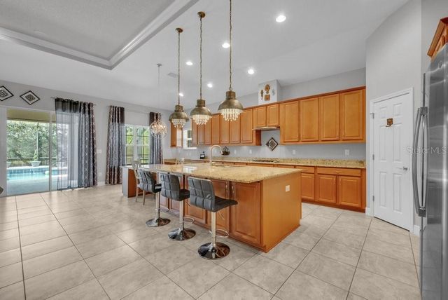 15409 STARLING CROSSING DRIVE, Lithia, FL 33547
