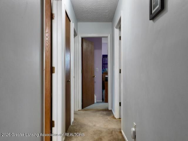 307 Ives Road, Mason, MI 48854