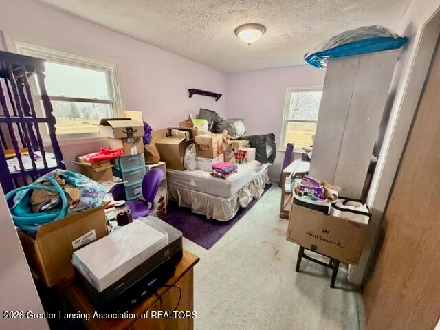 307 Ives Road, Mason, MI 48854