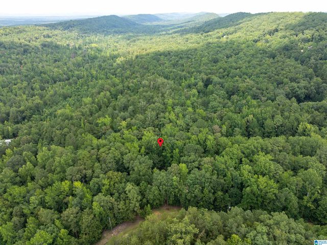 4522 SHADOW RIDGE PARKWAY, Pinson, AL 35126
