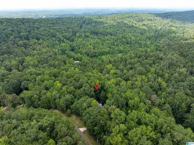 4522 SHADOW RIDGE PARKWAY, Pinson, AL 35126