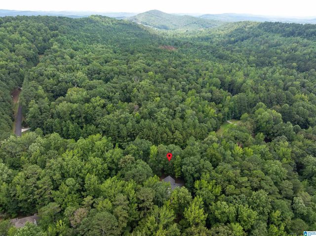 4522 SHADOW RIDGE PARKWAY, Pinson, AL 35126