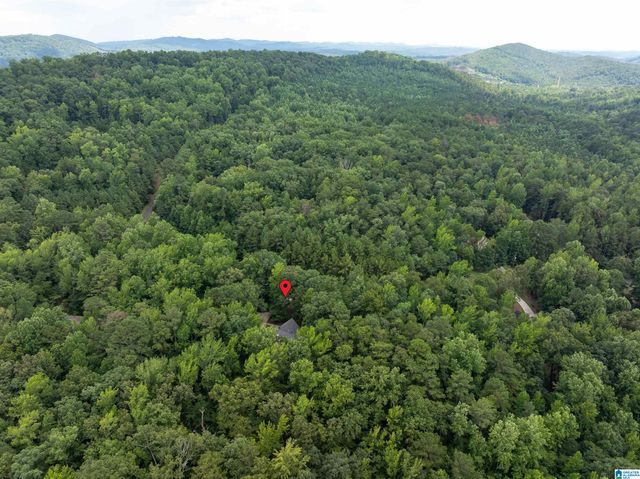 4522 SHADOW RIDGE PARKWAY, Pinson, AL 35126