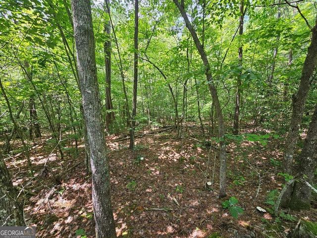 0 Harris Ridge Drive 183, Ellijay, GA 30540