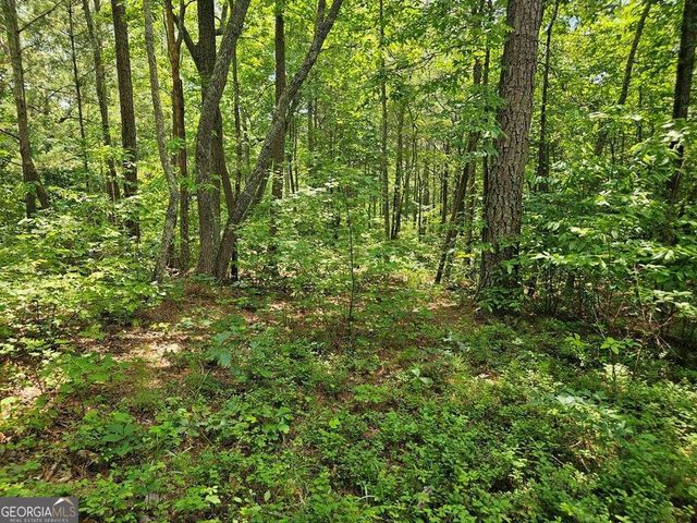 0 Harris Ridge Drive 183, Ellijay, GA 30540
