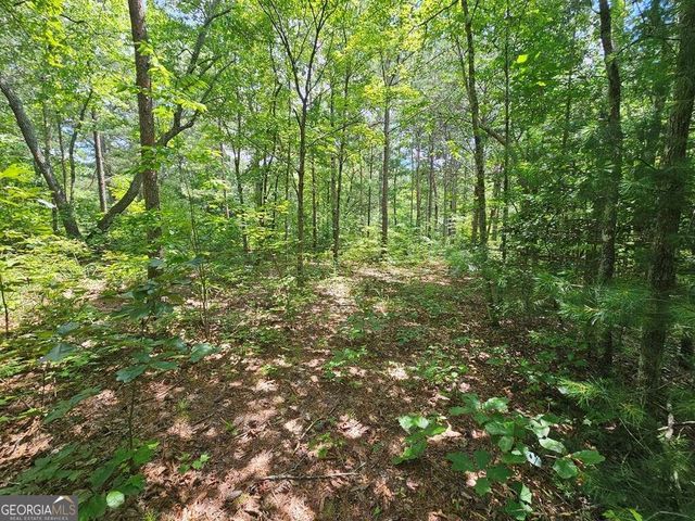 0 Harris Ridge Drive 183, Ellijay, GA 30540