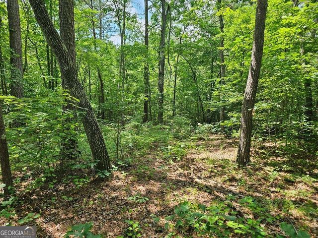 0 Harris Ridge Drive 183, Ellijay, GA 30540