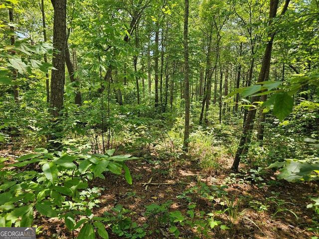 0 Harris Ridge Drive 183, Ellijay, GA 30540