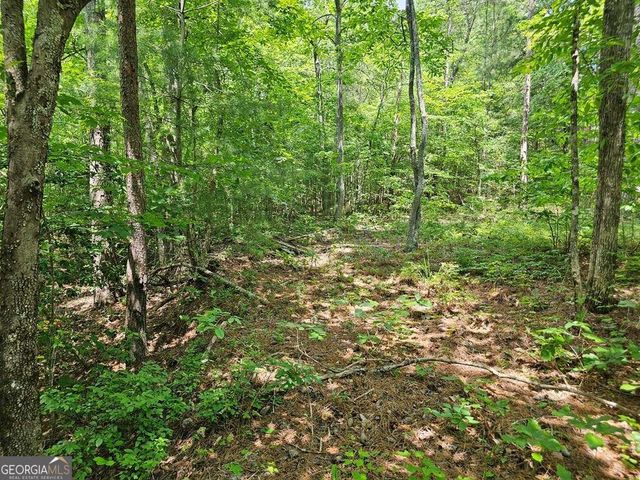 0 Harris Ridge Drive 183, Ellijay, GA 30540