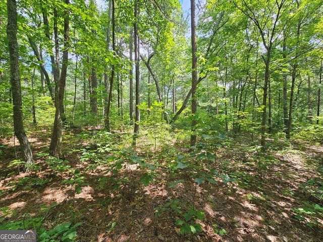 0 Harris Ridge Drive 183, Ellijay, GA 30540