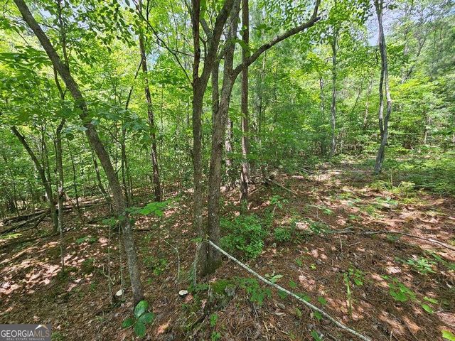 0 Harris Ridge Drive 183, Ellijay, GA 30540