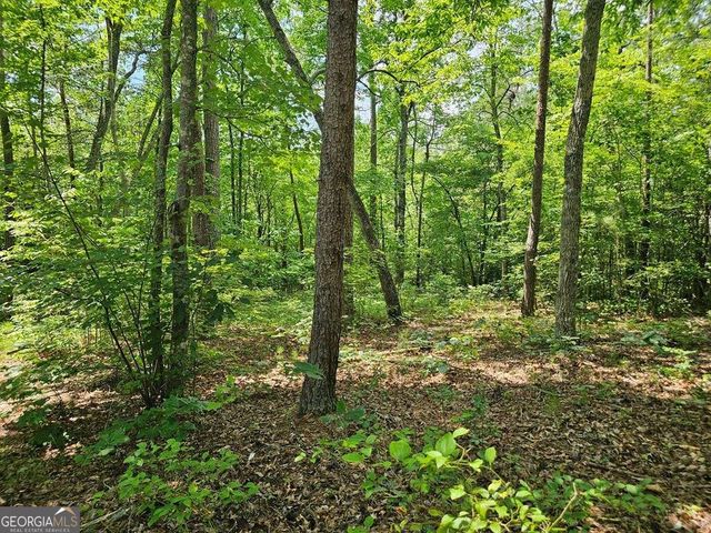 0 Harris Ridge Drive 183, Ellijay, GA 30540